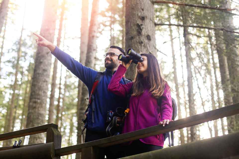 Bird Watching majuli tour