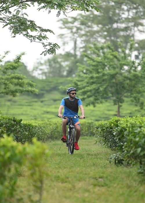 Cycling through Tea Gardens vaanigreens