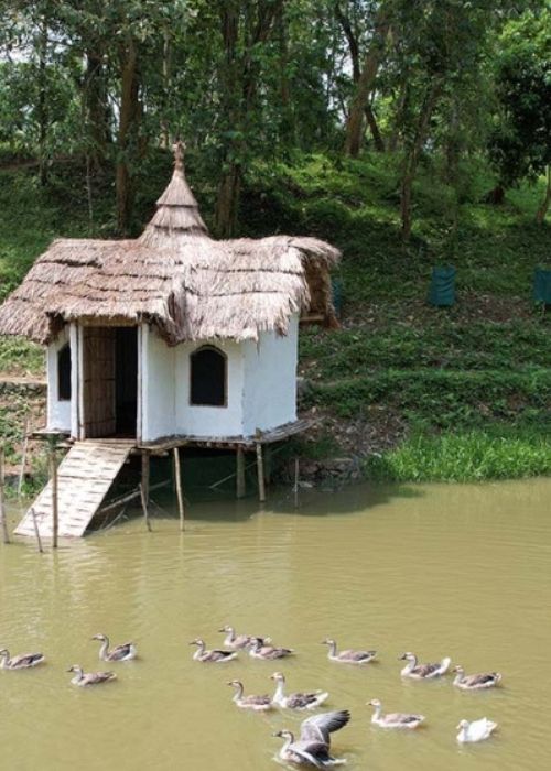 Duckery vaanigreens
