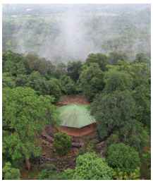 Numaligarh & Bokakhat natural