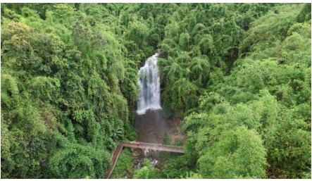 Numaligarh & Bokakhat nature