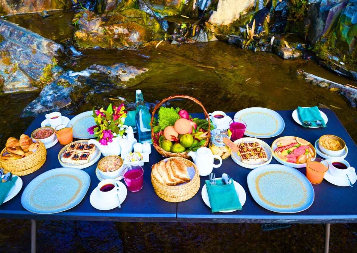Vaani Greens Breakfast in the woods