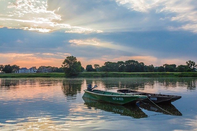 Seeking out the endangered Gangetic Dolphin