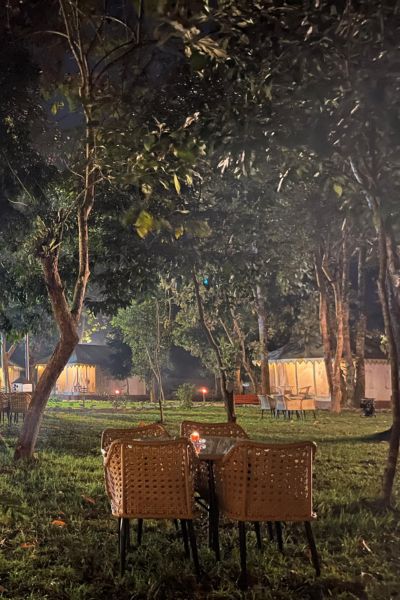 Dining in the open Amidst forest night