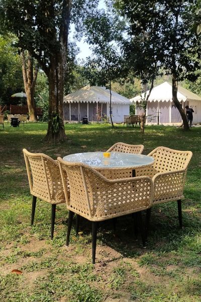 Dining in the open Amidst forest sitting