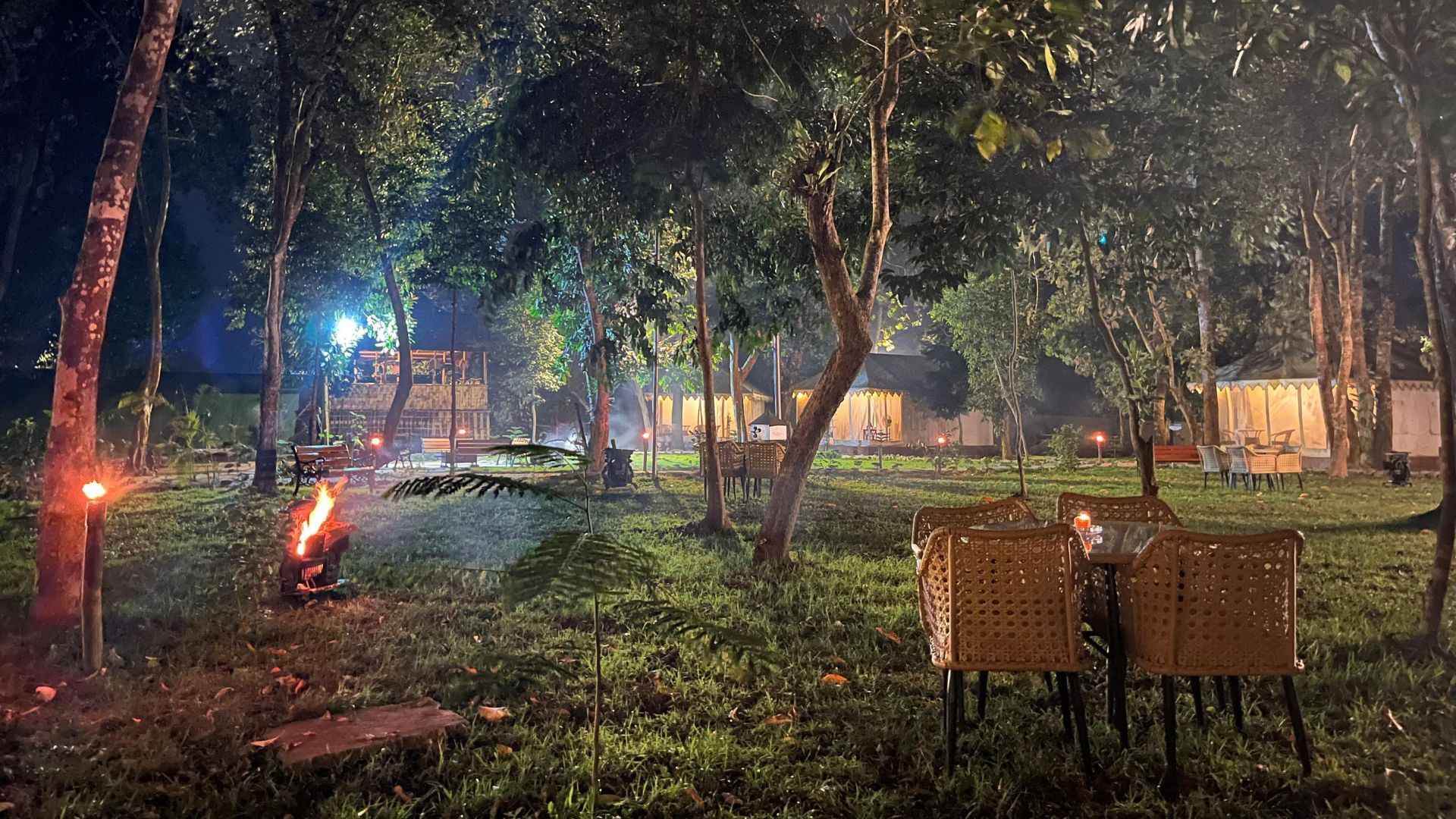 Dining in the open Amidst forest