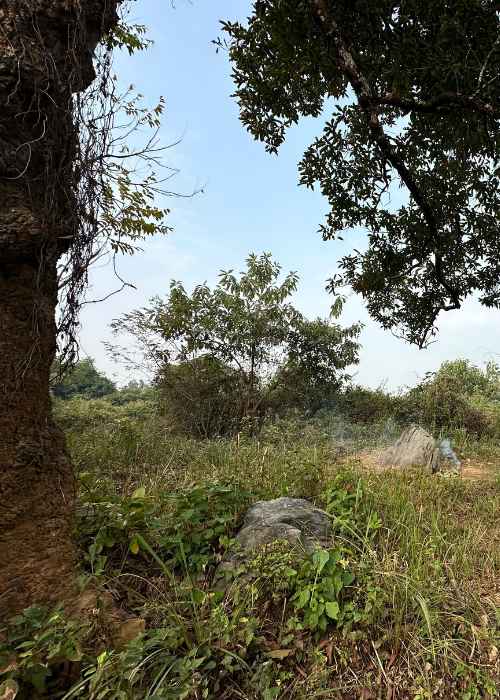 Hiking Trail Vaanigreens