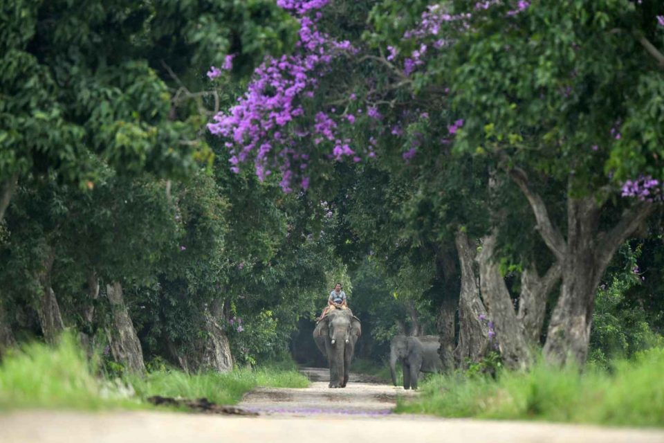 Exclusive-Vaani nature